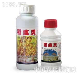 �|�r-�����`����