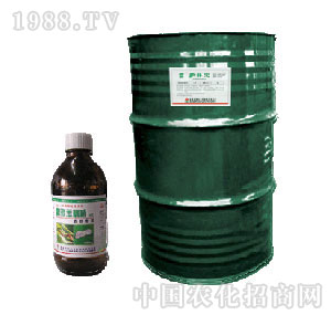 ɳ¡�_����-�o�֌�