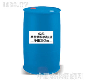 �л�����-62%�ݸ�좮������}