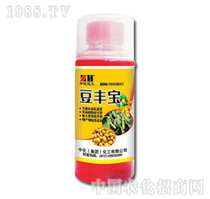 �л�����-���S��