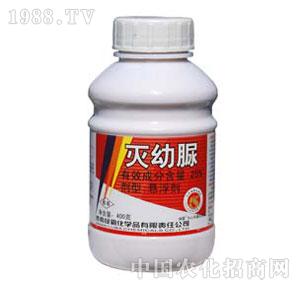 �G��-25%������Ҹ���