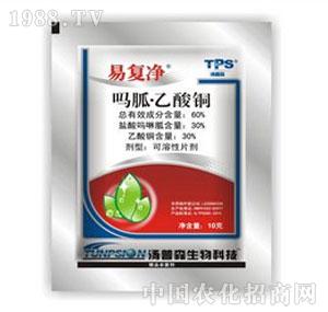 ����ˎ�I(y��)-�׏�(f��)��