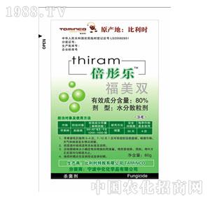 �V�|���-��ͮ��������-�����r�ذ�